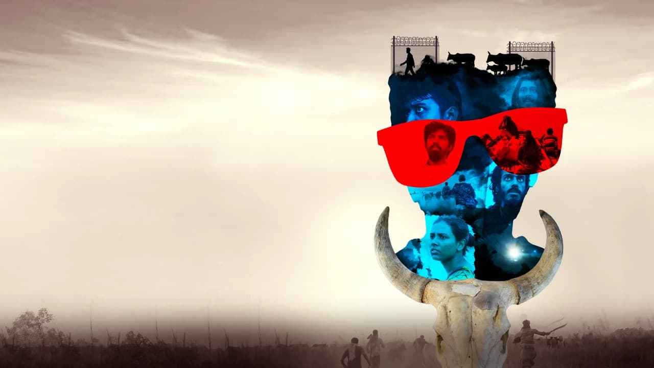 শাটিকাপ