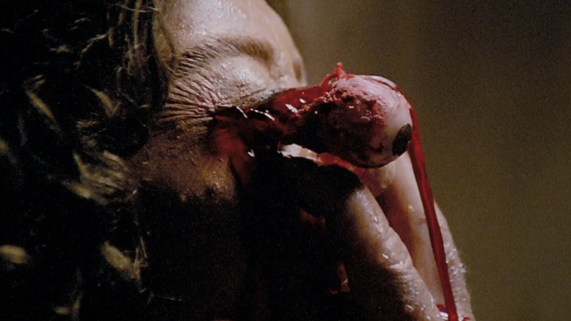 ...E tu vivrai nel terrore! L'aldilà