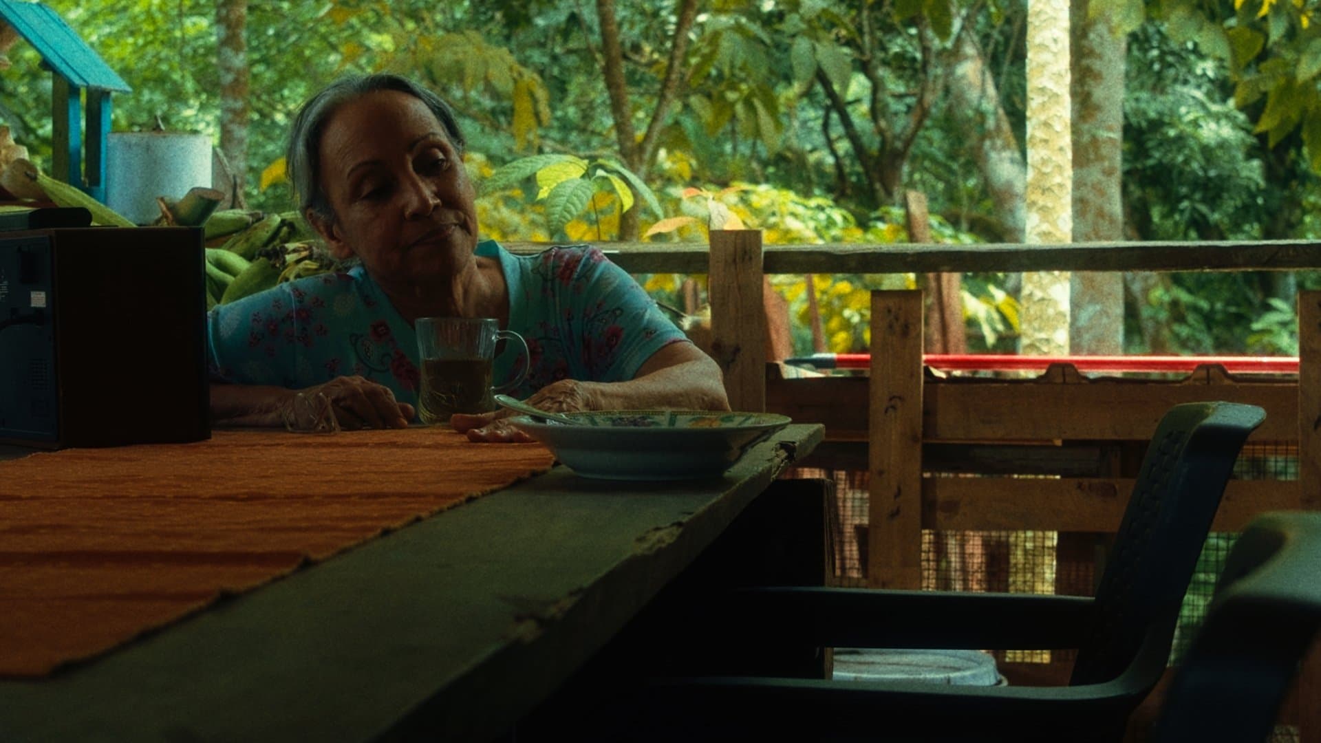 Como Cantan Las Aves