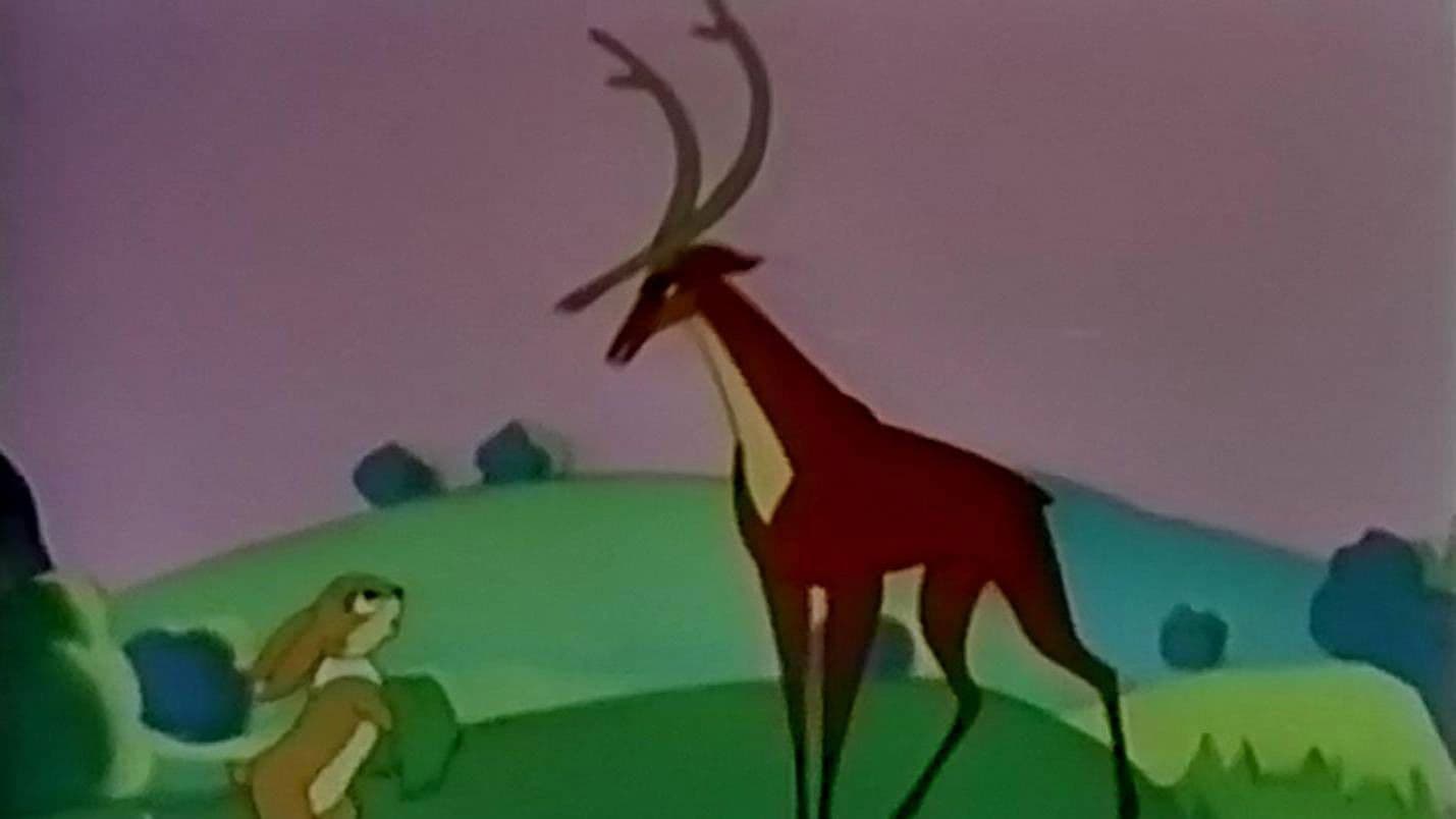 ქორბუდა