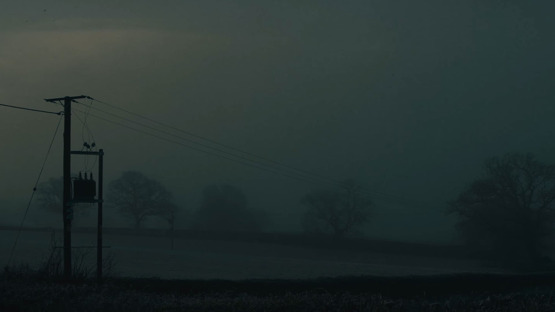 Where are you Naomi?