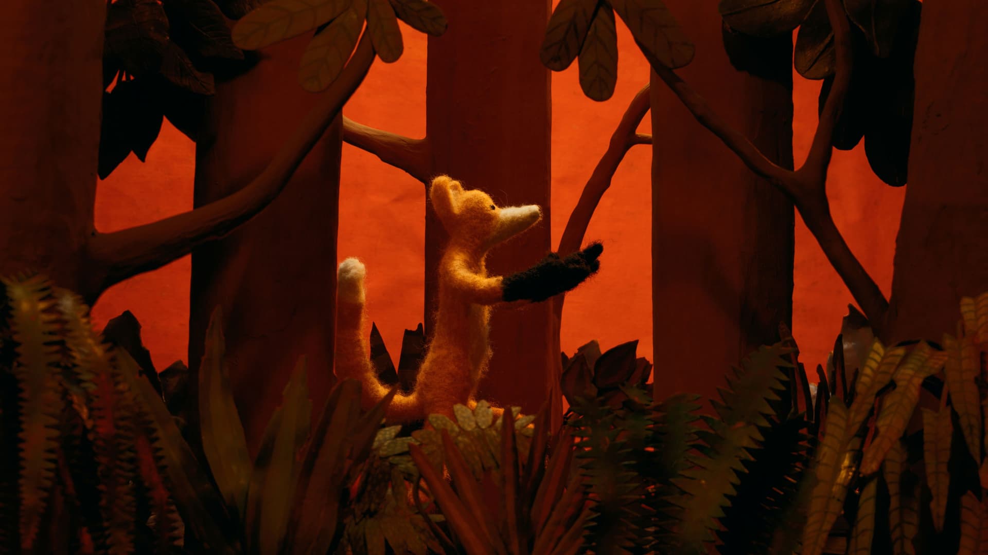 A Tragédia da Lobo-guará