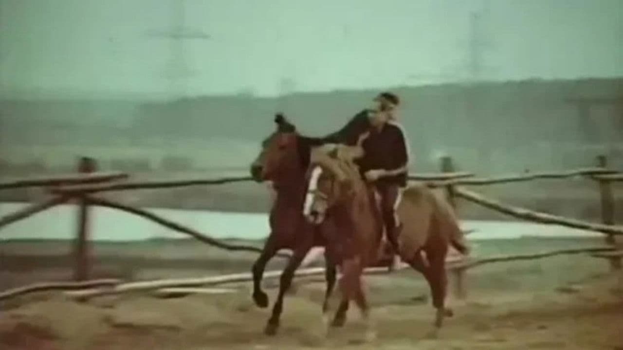 Жизнь в седле