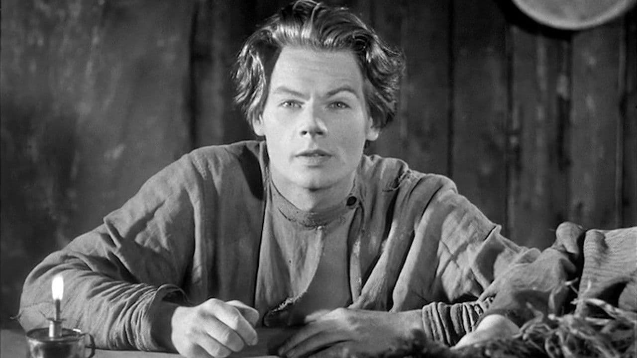 Мои университеты