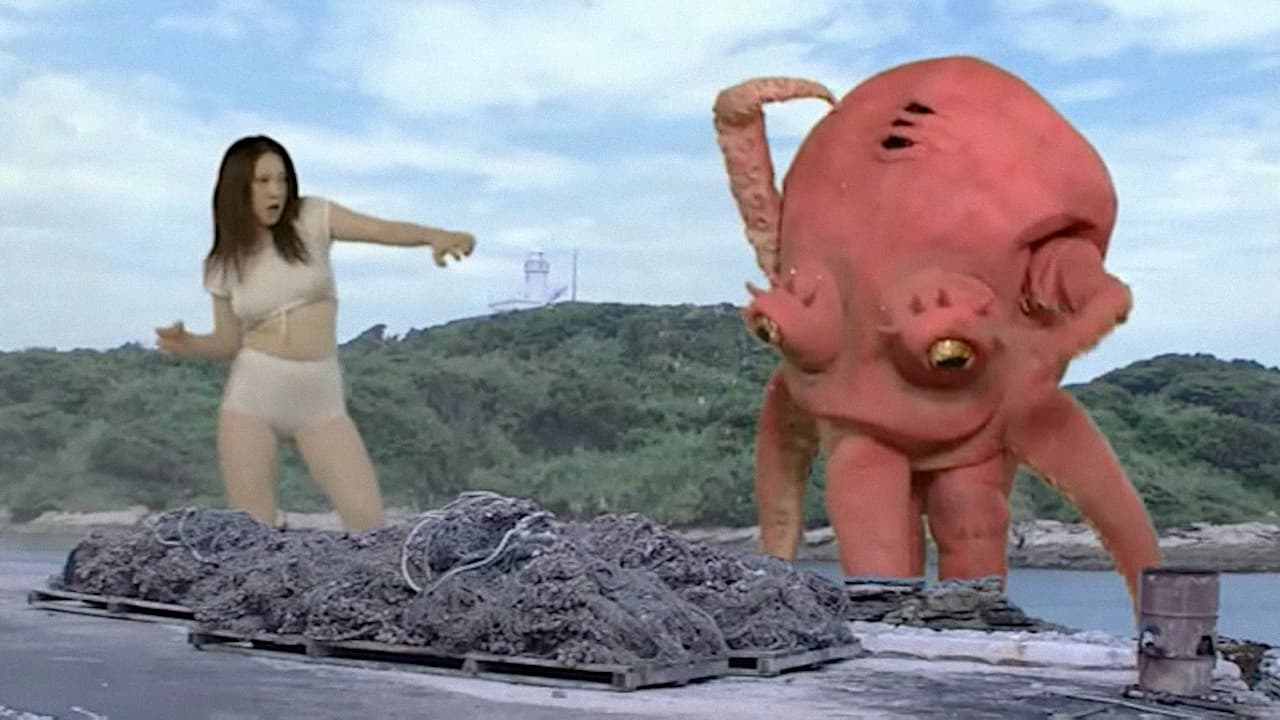 猛毒Y談 海女テラス大神