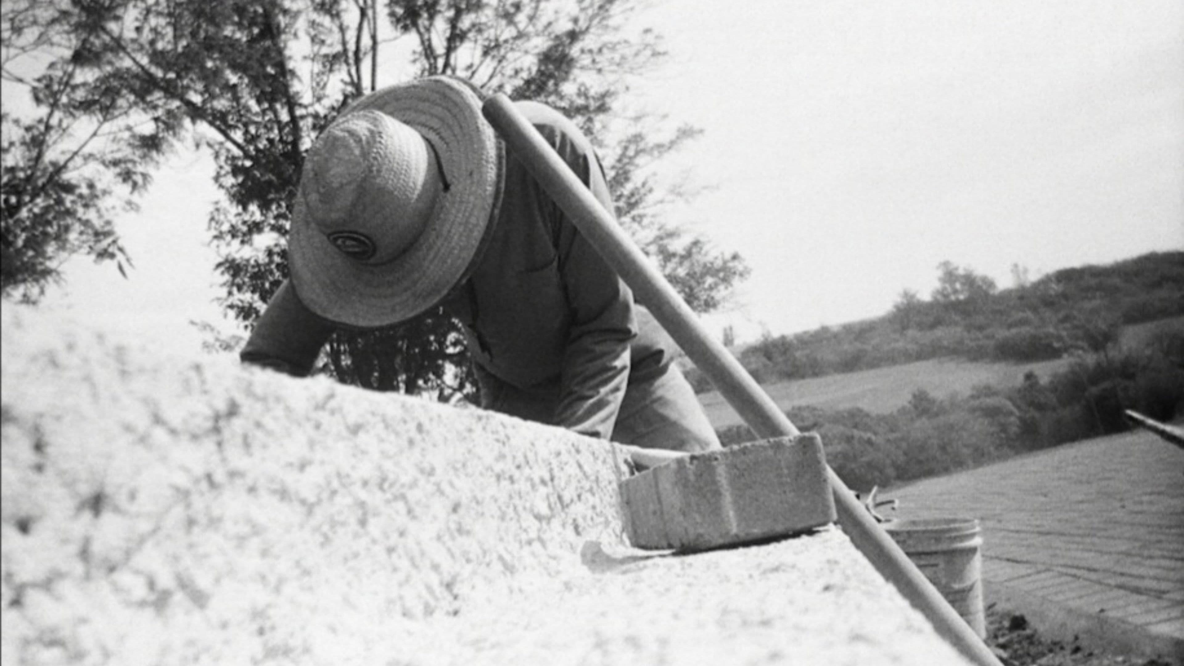 INTERVENÇÕES E INTERFERÊNCIAS
