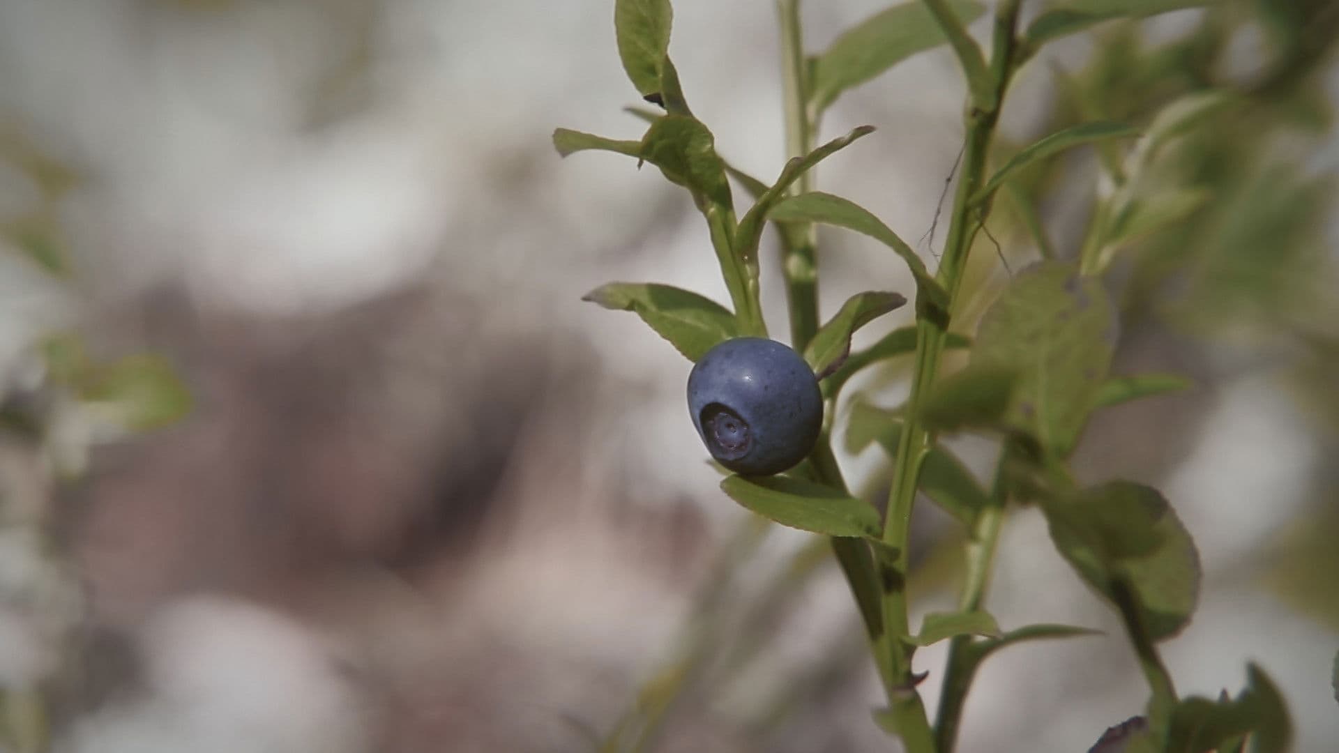 Детство на берегу реки