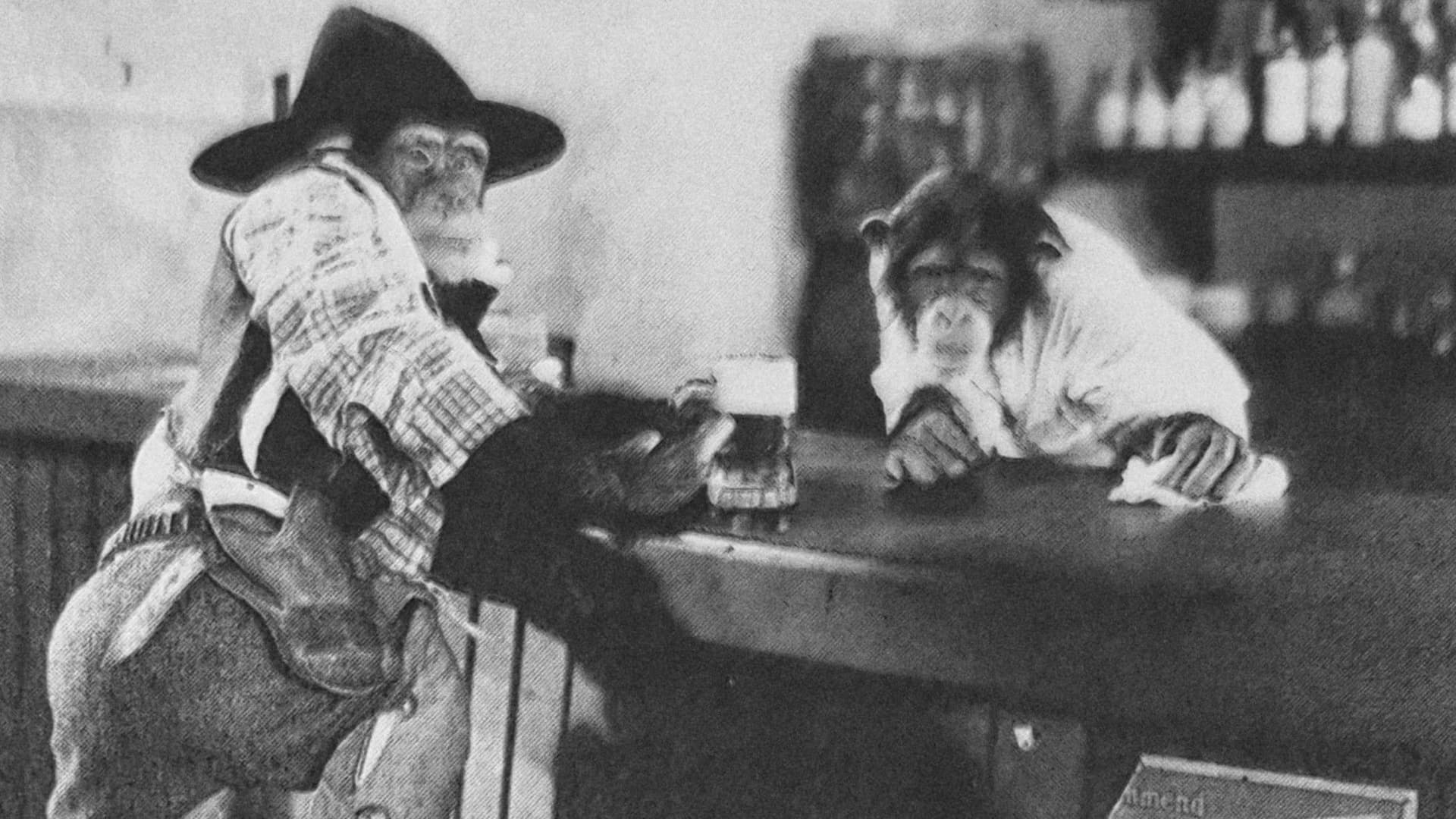 The Little Covered Wagon