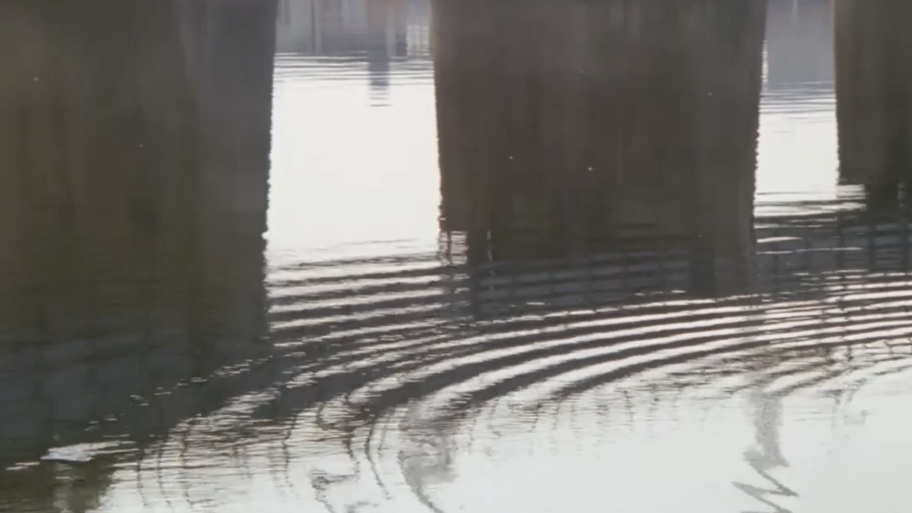 銀座ネオン街　女の絶頂