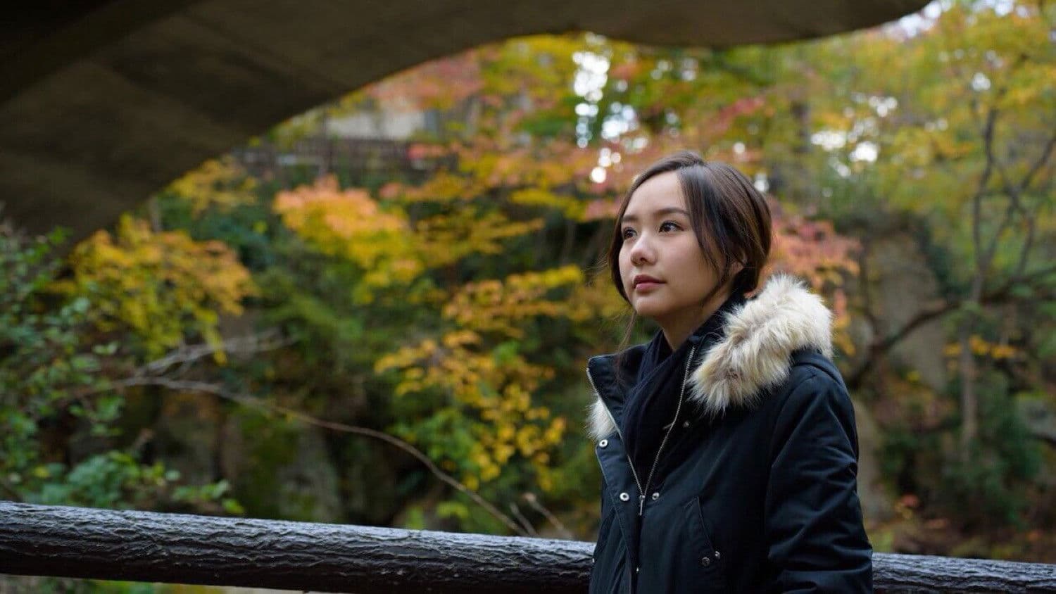 รักแท้...แพ้แรงดึงดูด