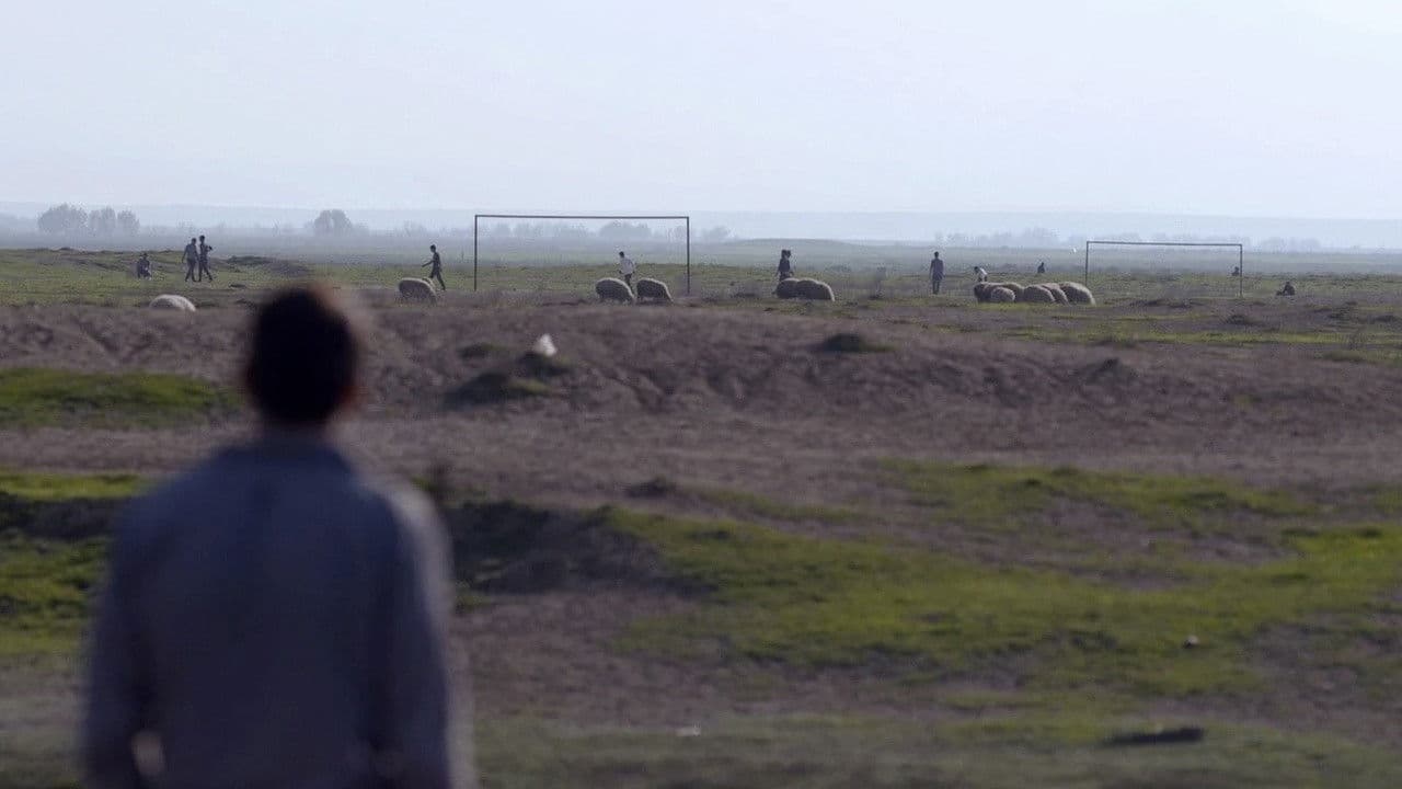 Qaranlıqdan reportaj