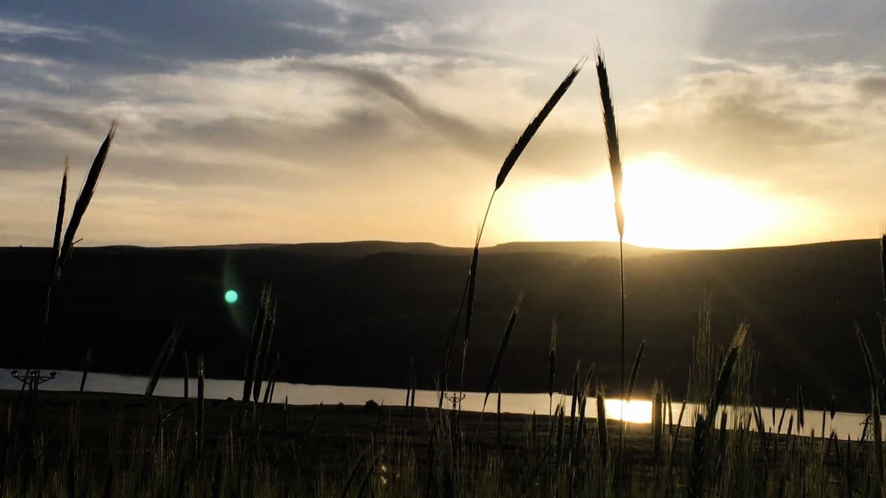 Kızılırmak'ta Bir Köy: Kaymak