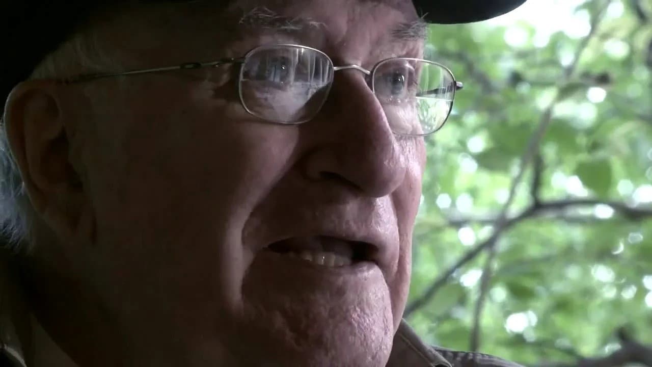 Vicente Aranda, 50 años de cine