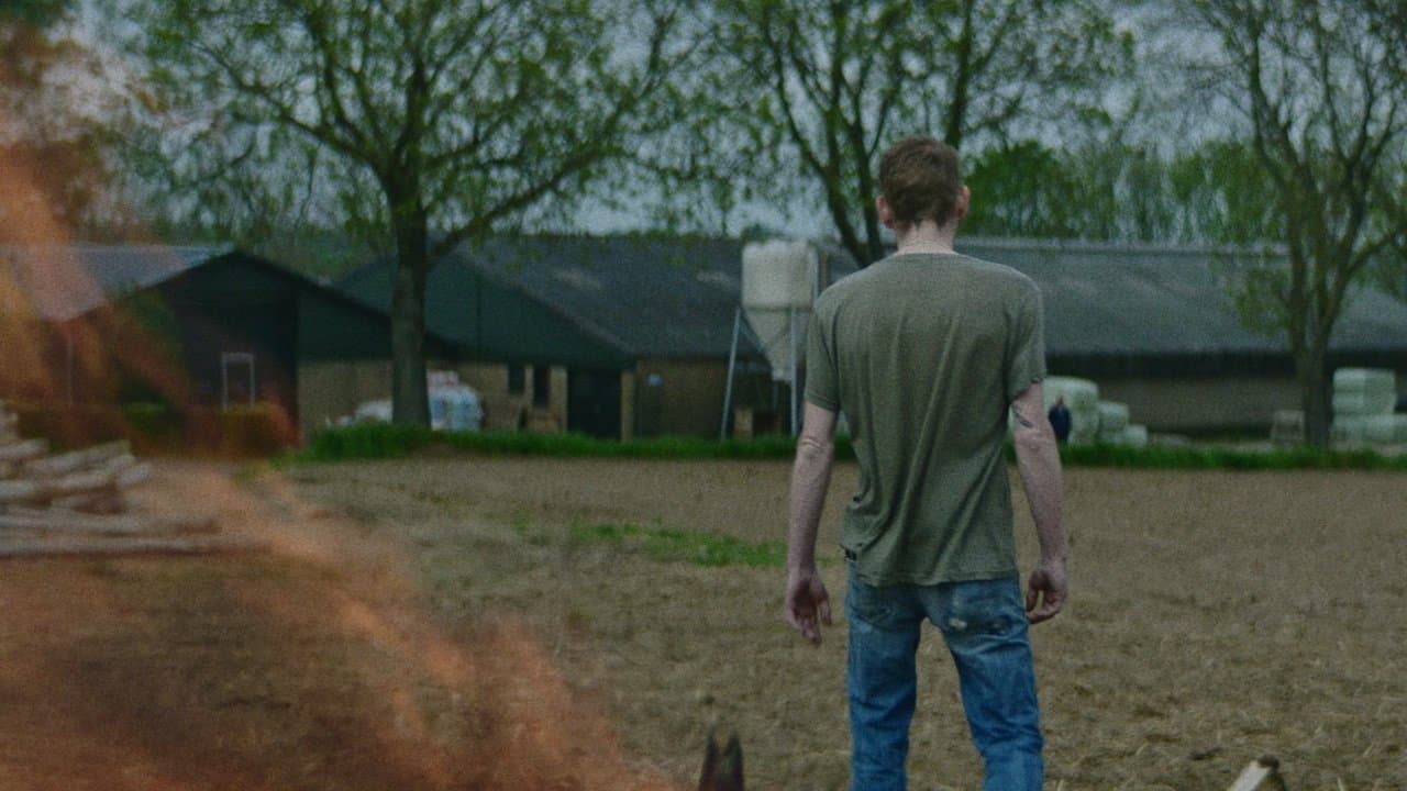 Jouw mooie rubberbrein