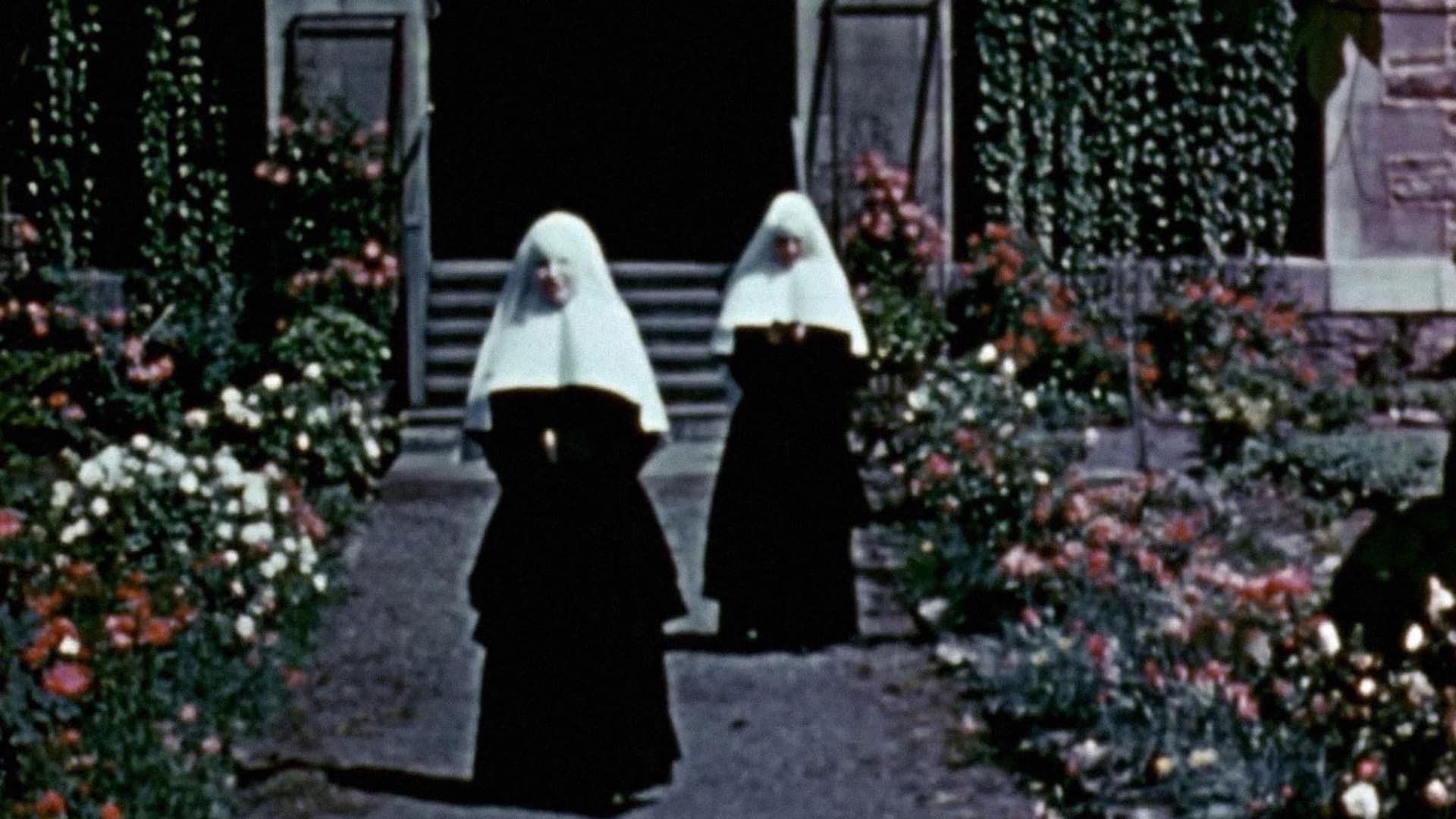 La Cité de Notre-Dame