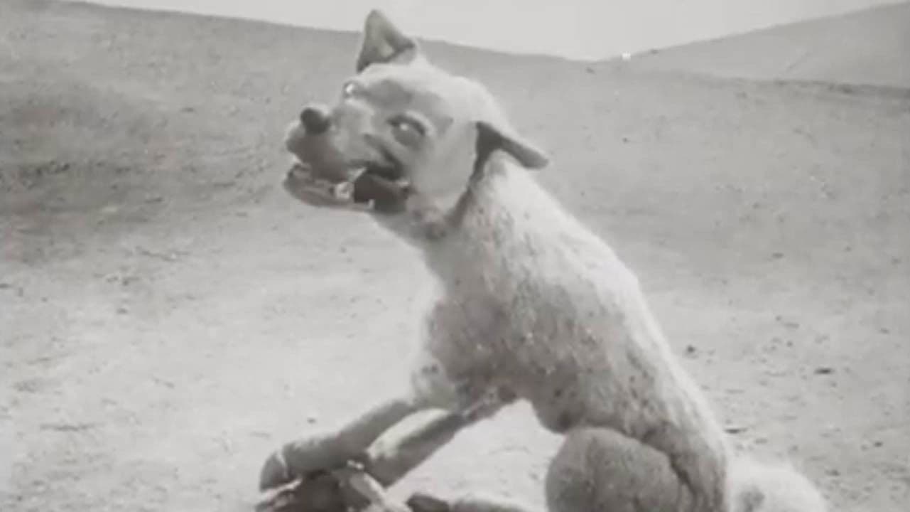 Волк и журавль