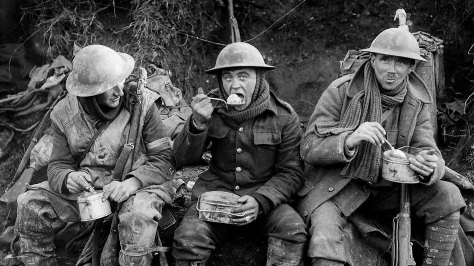 The Official Story of the British Army