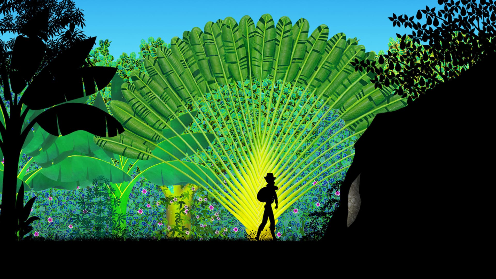 Povestiri în miez de noapte