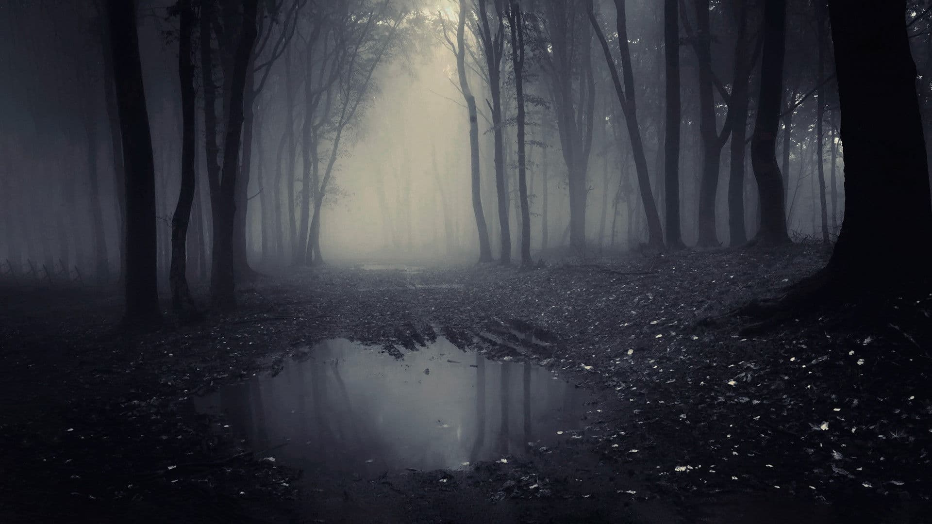 A Lenda do Homem Pássaro