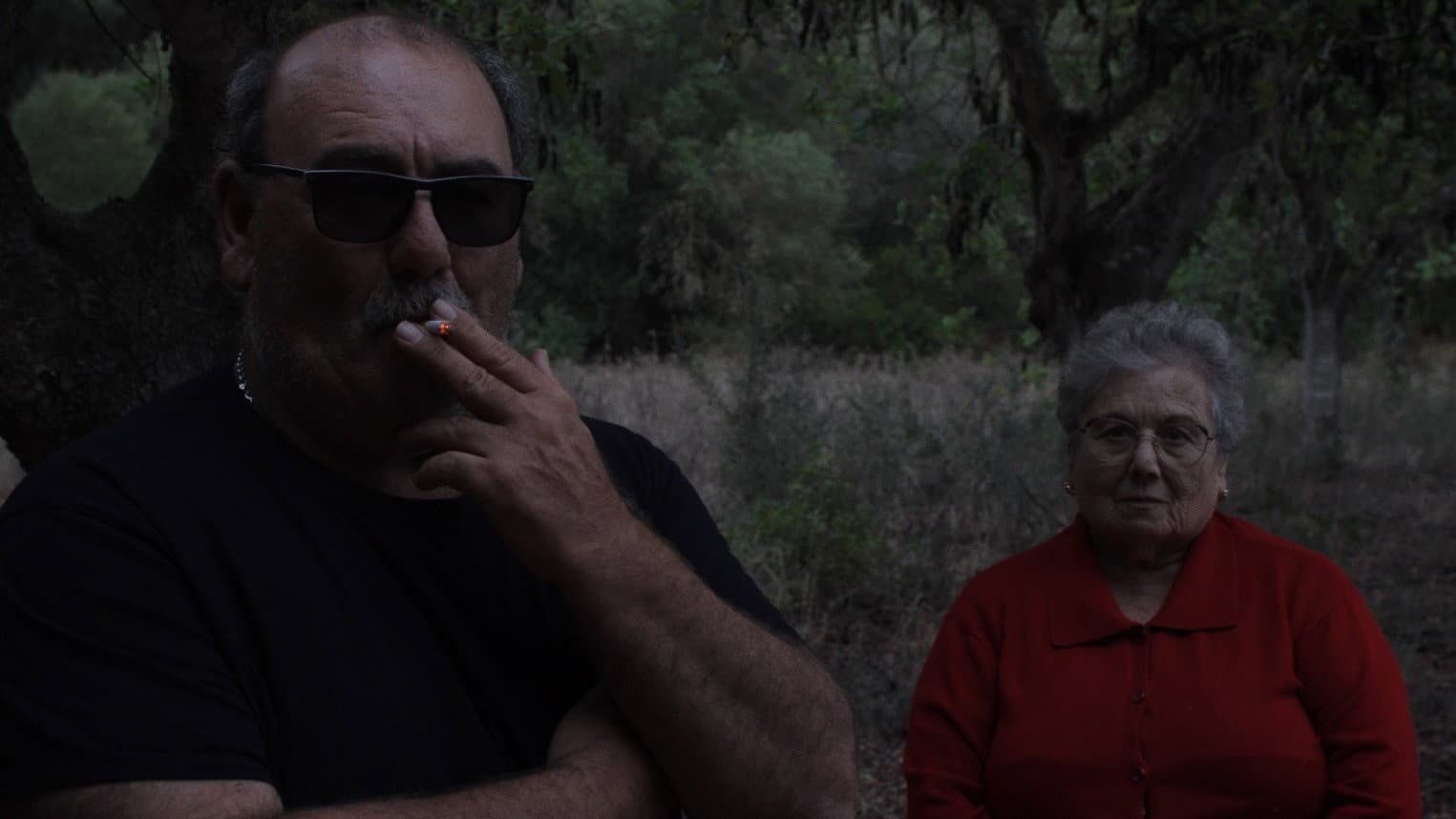 Qui Pogués Plorar Amb Els Teus Ulls