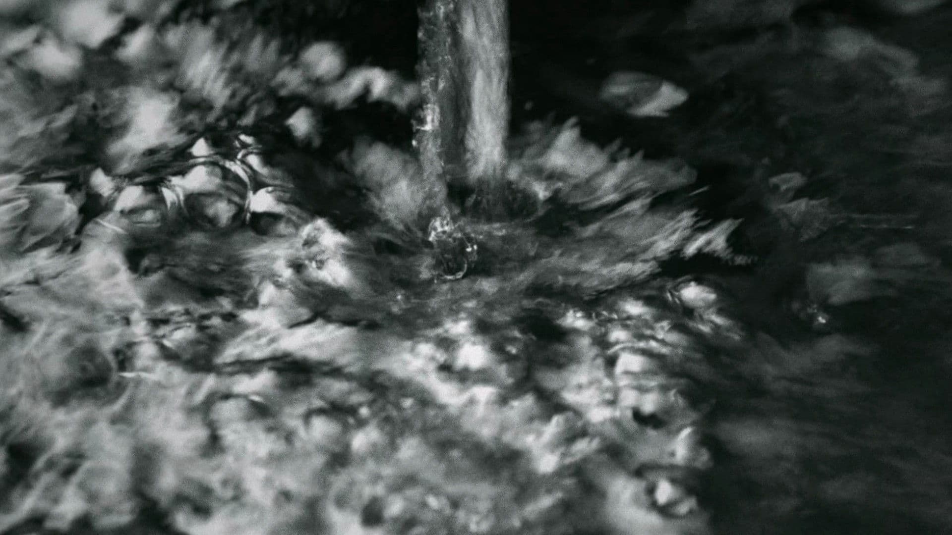 산산조각 난 해