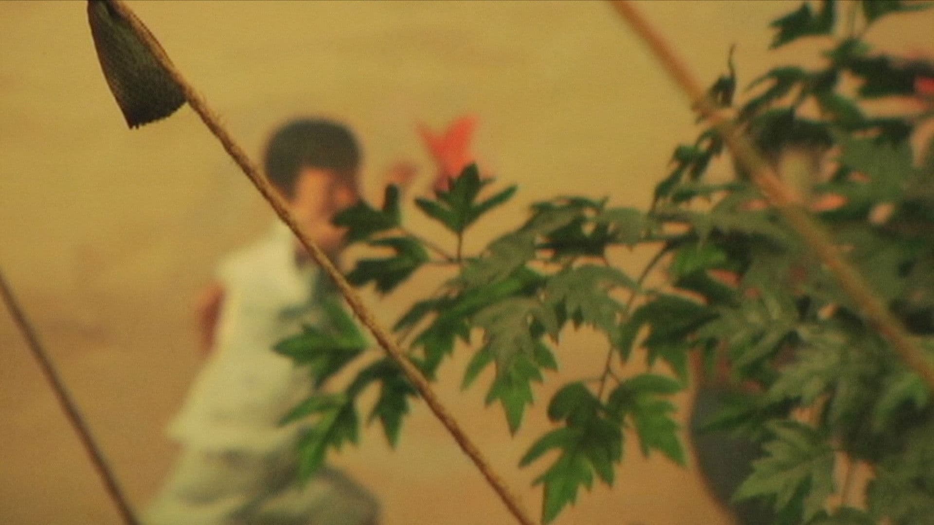 Dangerous Supplement