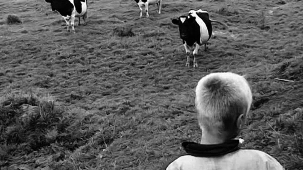 Следующее воскресенье