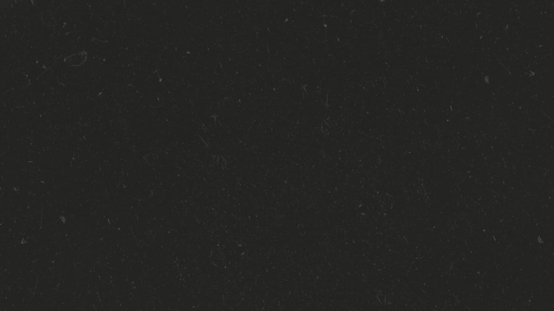 College Life: Unscripted