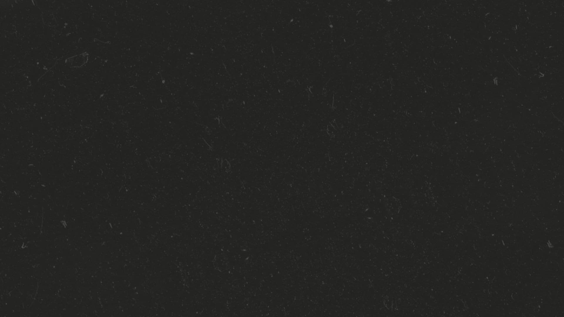 College Life: Unscripted