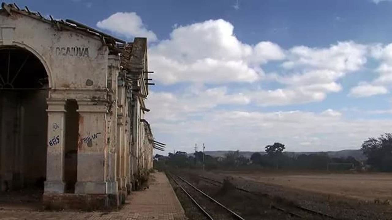 Magnífica Desolação