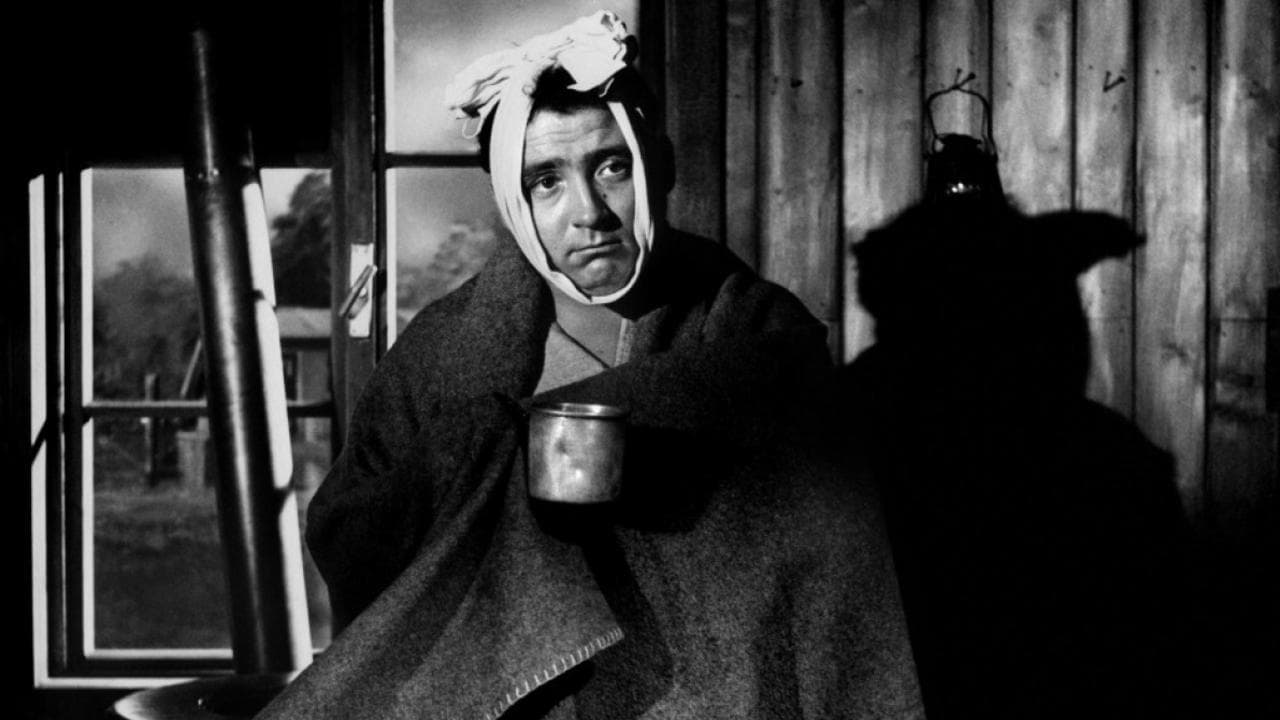 Pe urmele caporalului