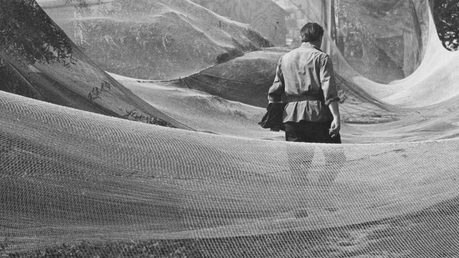 Birželis, vasaros pradžia