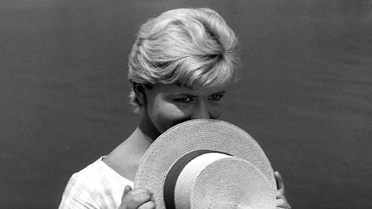 Лето је криво за све