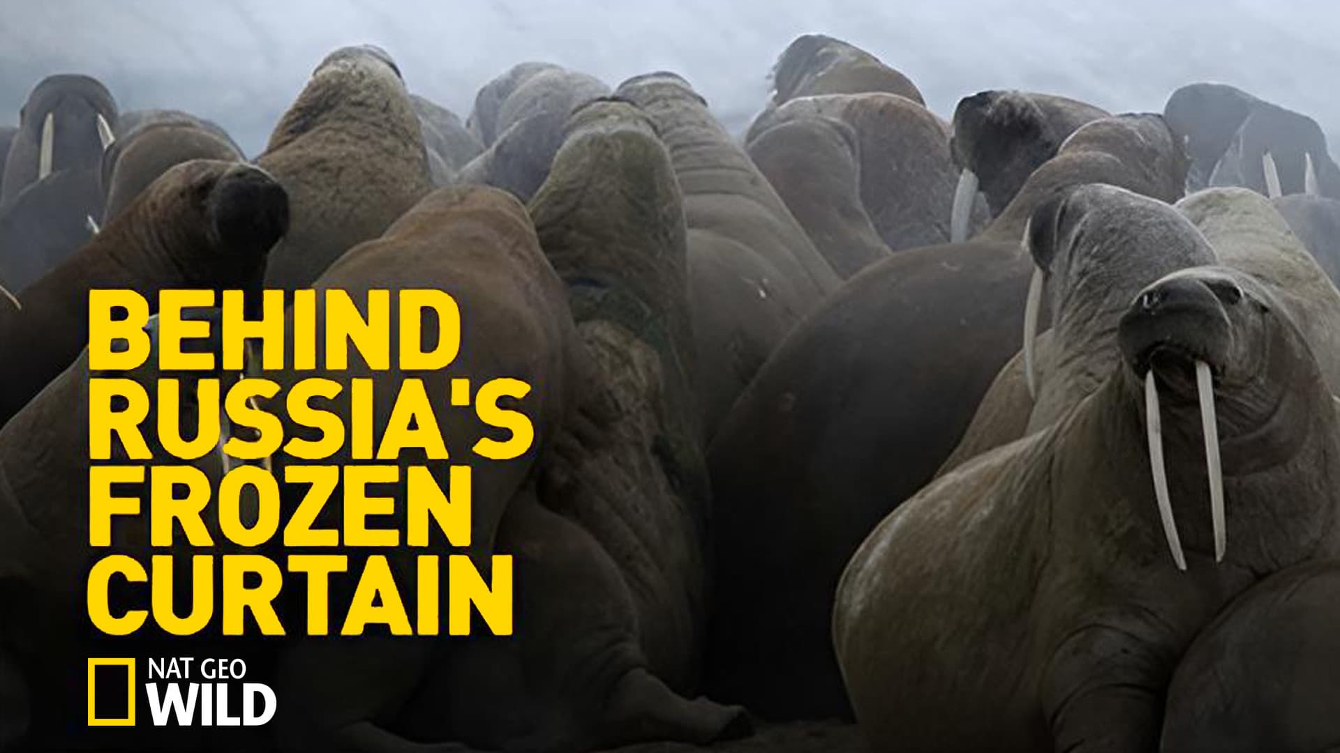 Behind Russia's Frozen Curtain