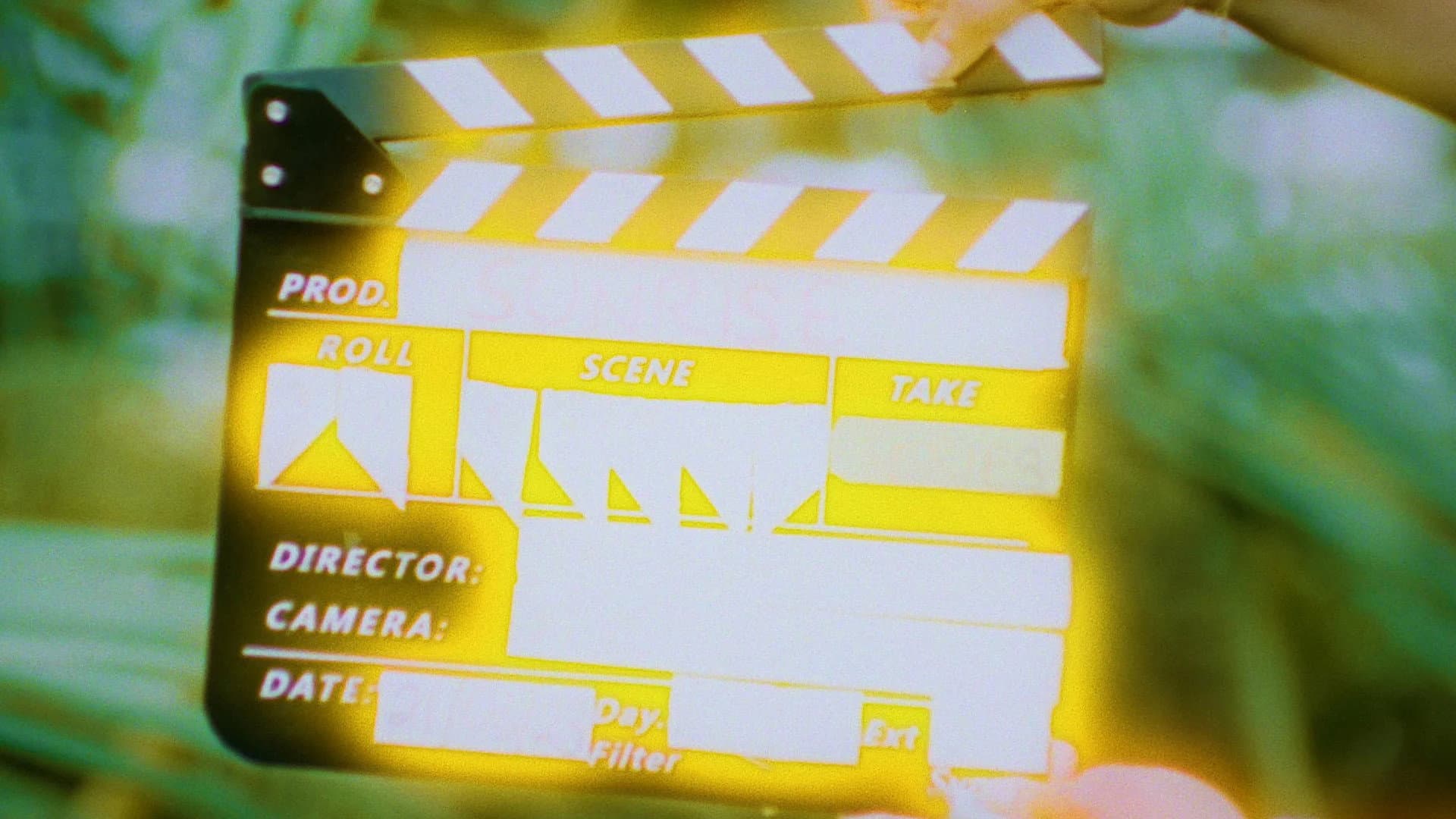 A Flower Falling Back Into the Earth