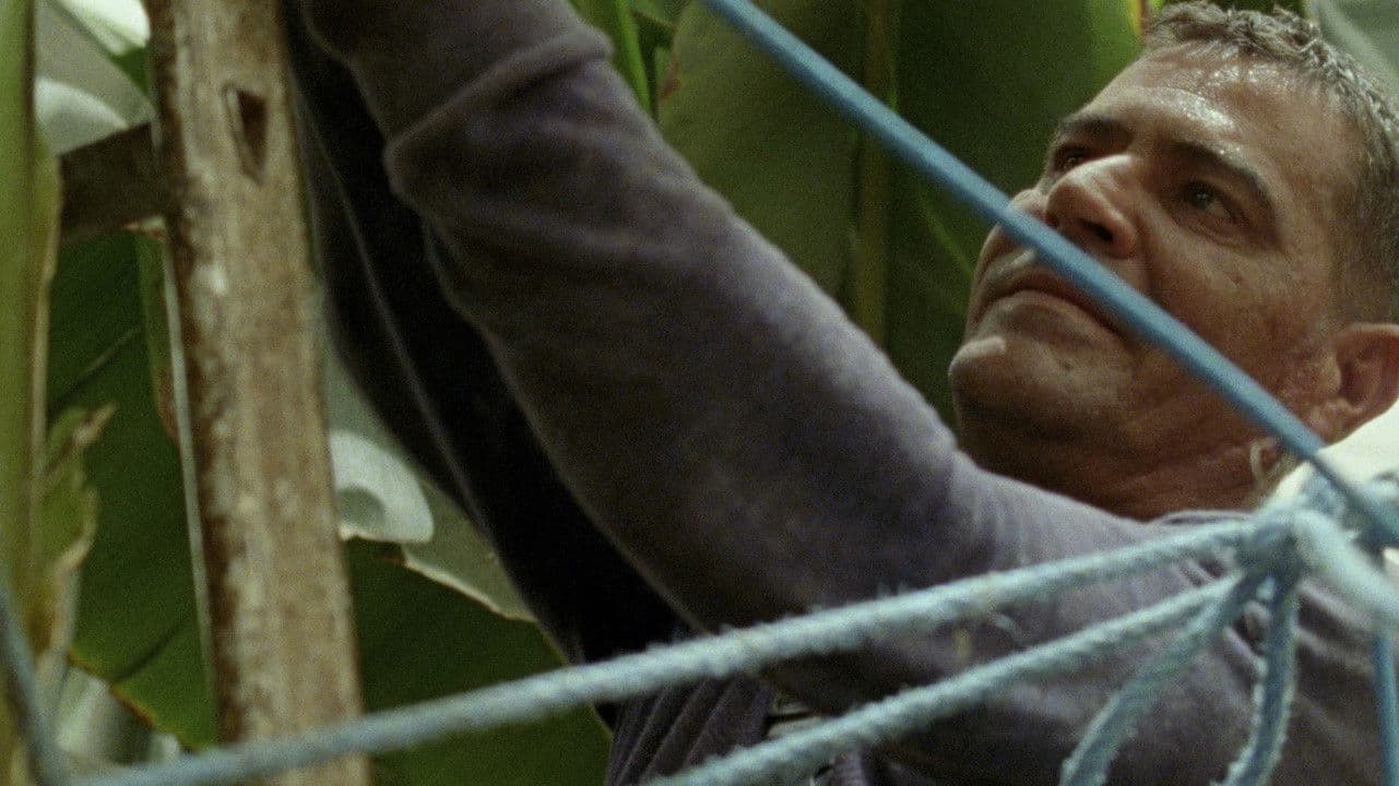 Un dragón de cien cabezas