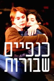 כנפיים שבורות