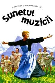 Sunetul muzicii