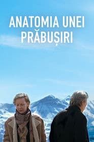 Anatomia unei prăbușiri