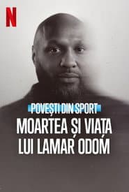 Untold: The Death & Life of Lamar Odom
