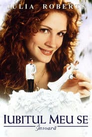 Iubitul meu se însoară