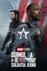 Șoimul și Soldatul Iernii