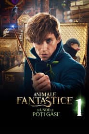 Animale fantastice și unde le poți găsi