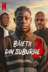 Băieții din suburbie 3