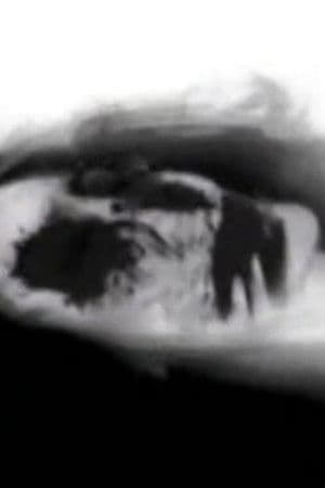 Cinderella Valentine