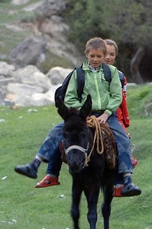 阿不都力瓦力·阿不都瓦依提