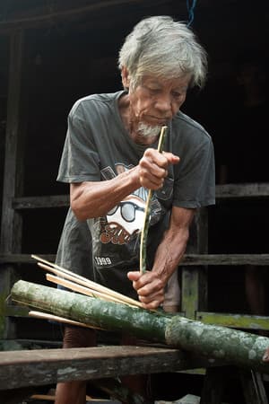 Apai Gadja