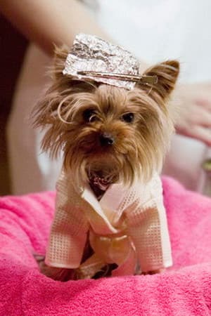 Manly "Little Pickles" Ortega