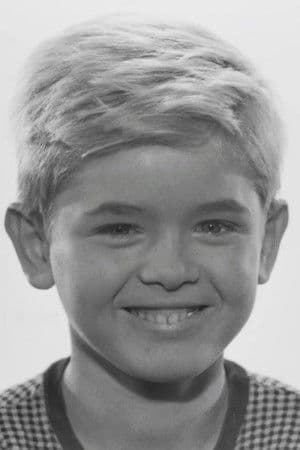 Hartmut Schwerdtfeger