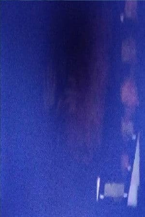 Kevin Casciani Nolan